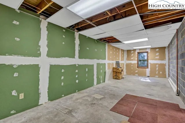 a view of a yard with plants and a bench