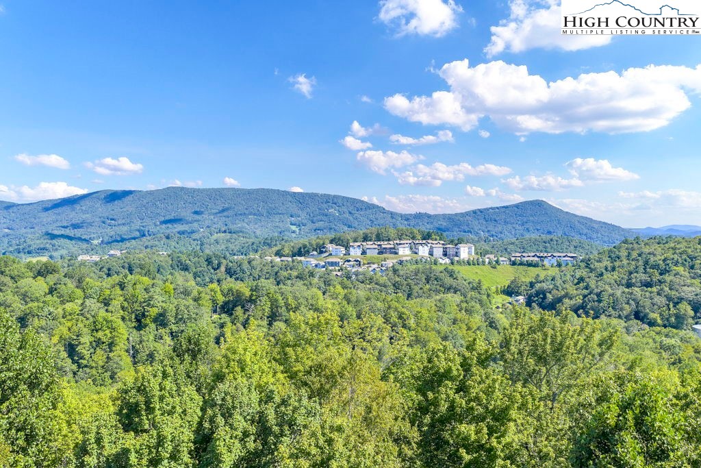 358 Devonwood Drive Boone, NC 28607 - Photo 48 of 50 a view of a city with lush green forest