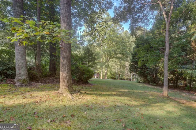 a view of a yard with trees