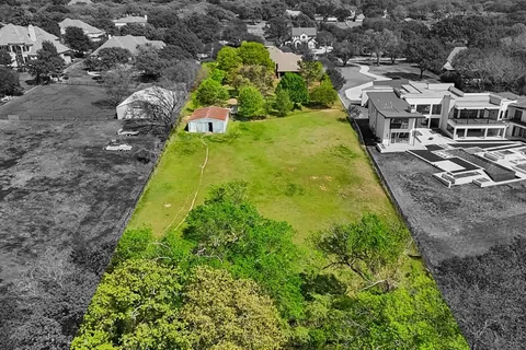 a view of a yard with plants