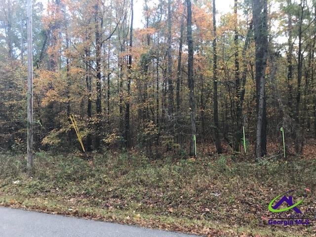 Tract-8 Lower Simmons Road Macon, GA 31220 - Photo 13 of 13