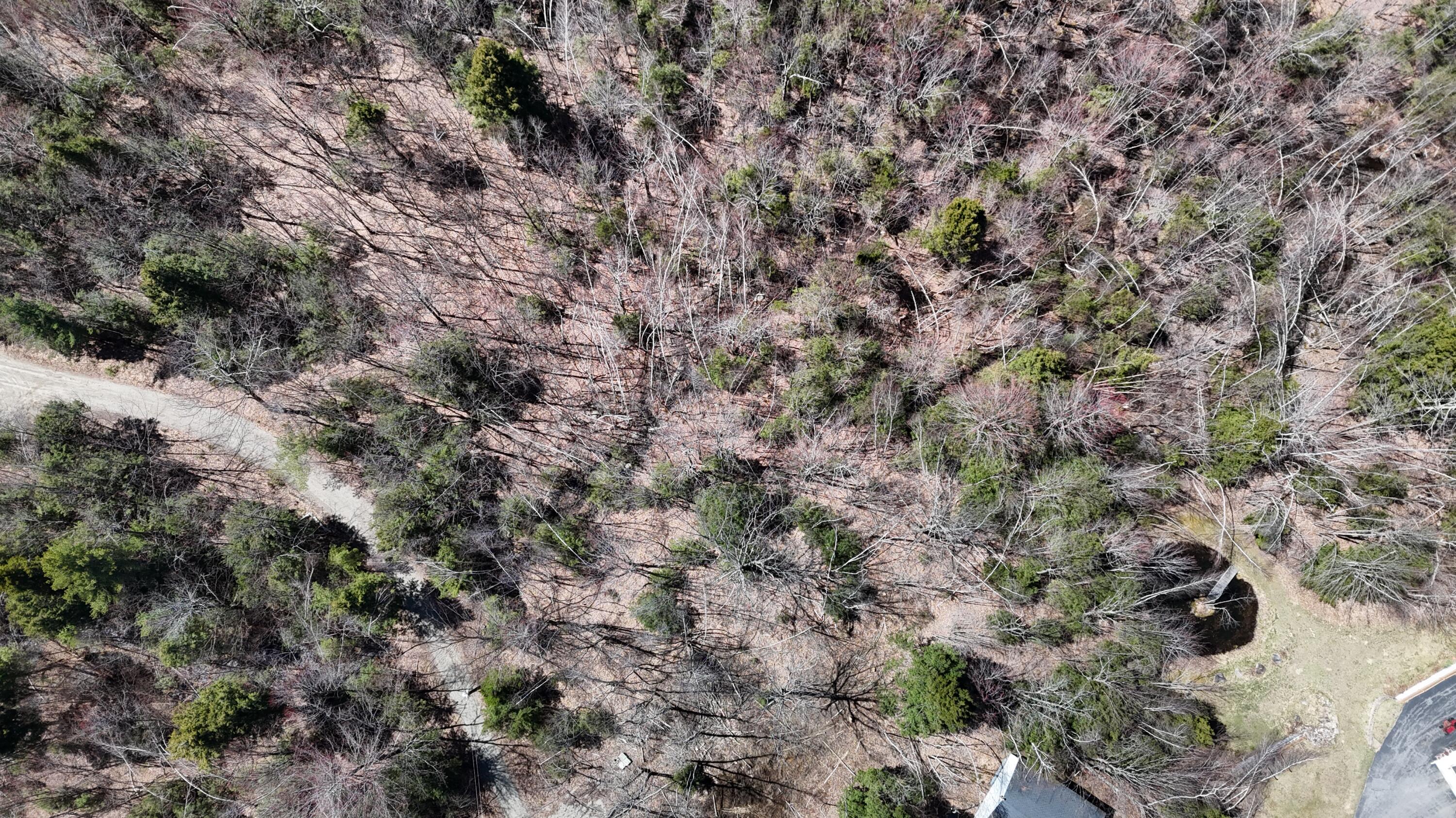 Lot 21 Johnson Road Greene, ME 04236 - Photo 17 of 18 DJI_20240423002828_0004_D