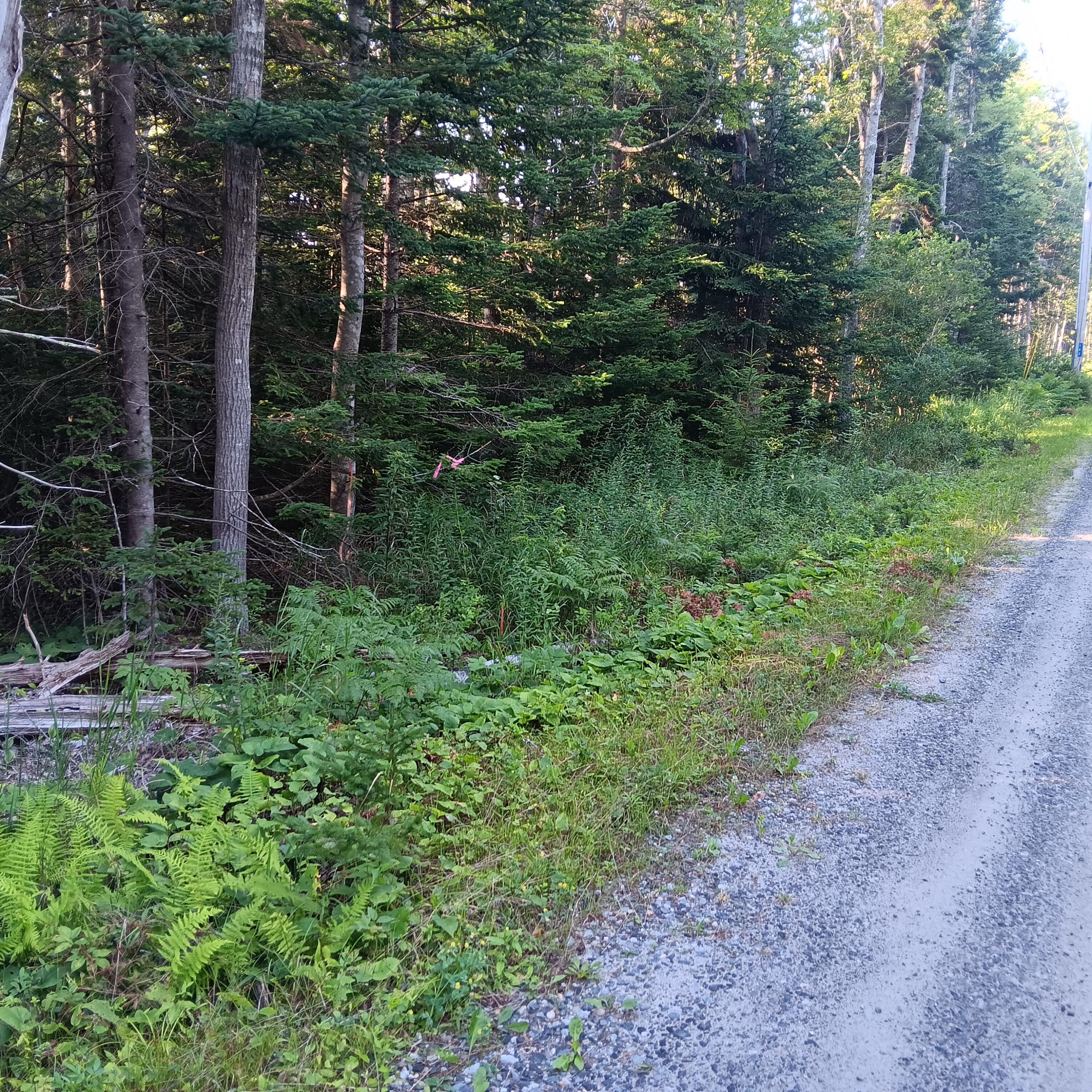 1 B Old Mill Road New Harbor, ME 04554 - Photo 5 of 10 20250726_072503