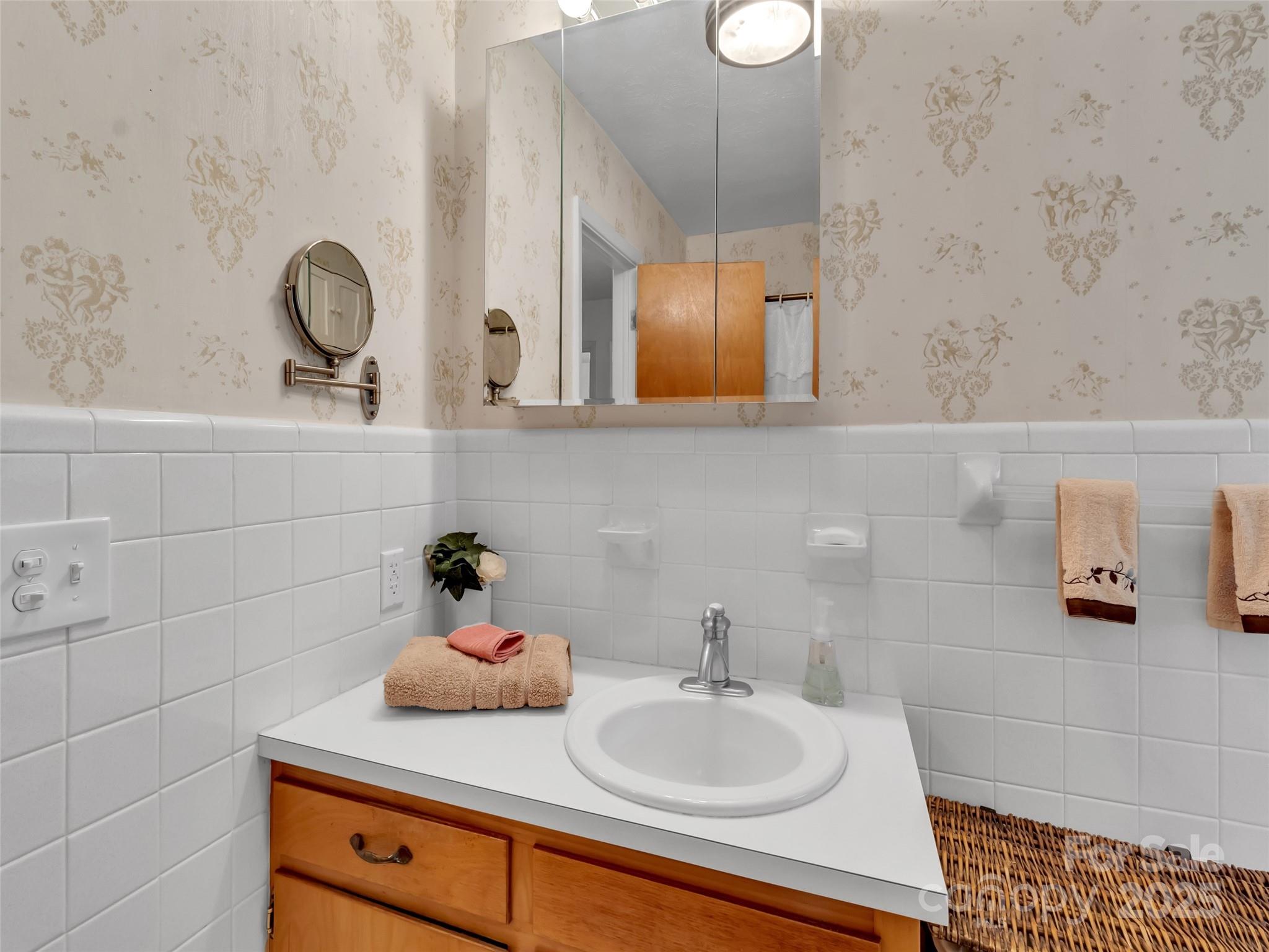 250 Reeves Cove Road Candler, NC 28715 - Photo 16 of 47 a bathroom with a sink and a mirror
