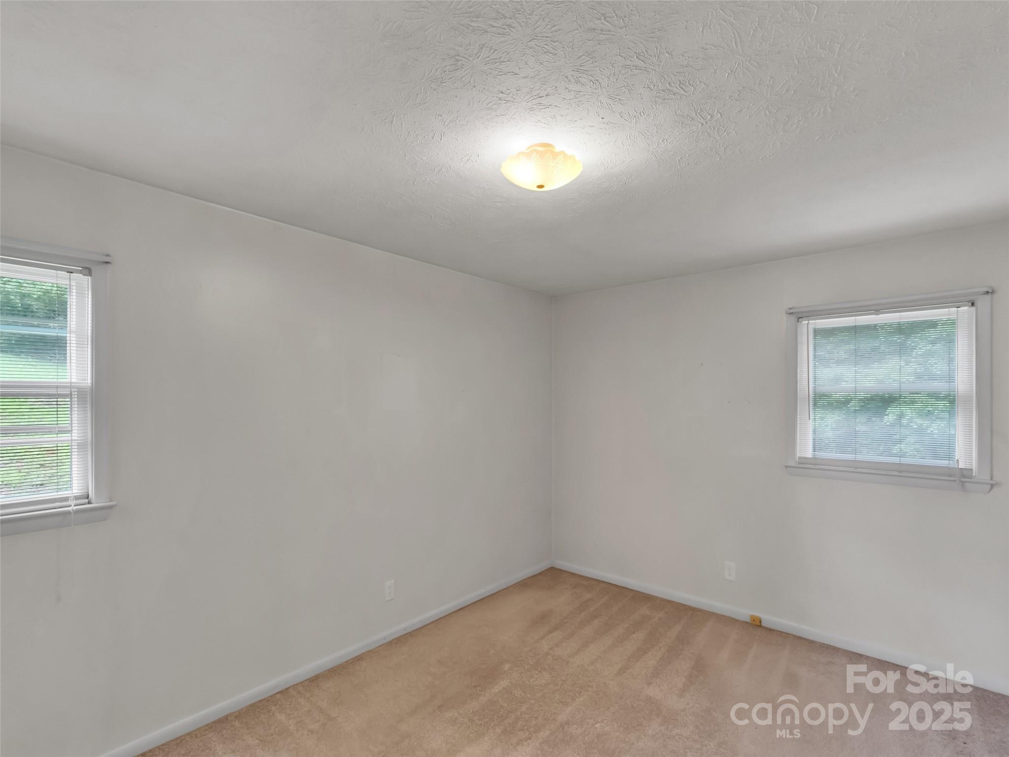 250 Reeves Cove Road Candler, NC 28715 - Photo 19 of 47 an empty room with a window