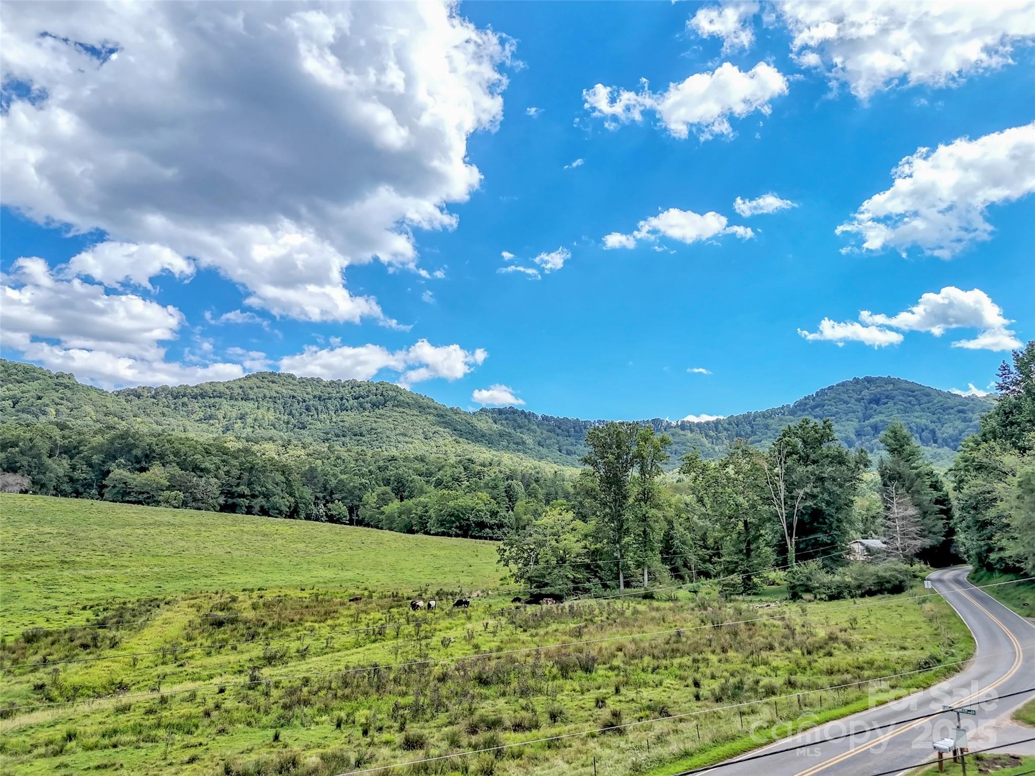 250 Reeves Cove Road Candler, NC 28715 - Photo 2 of 47 a view of a yard with an tree
