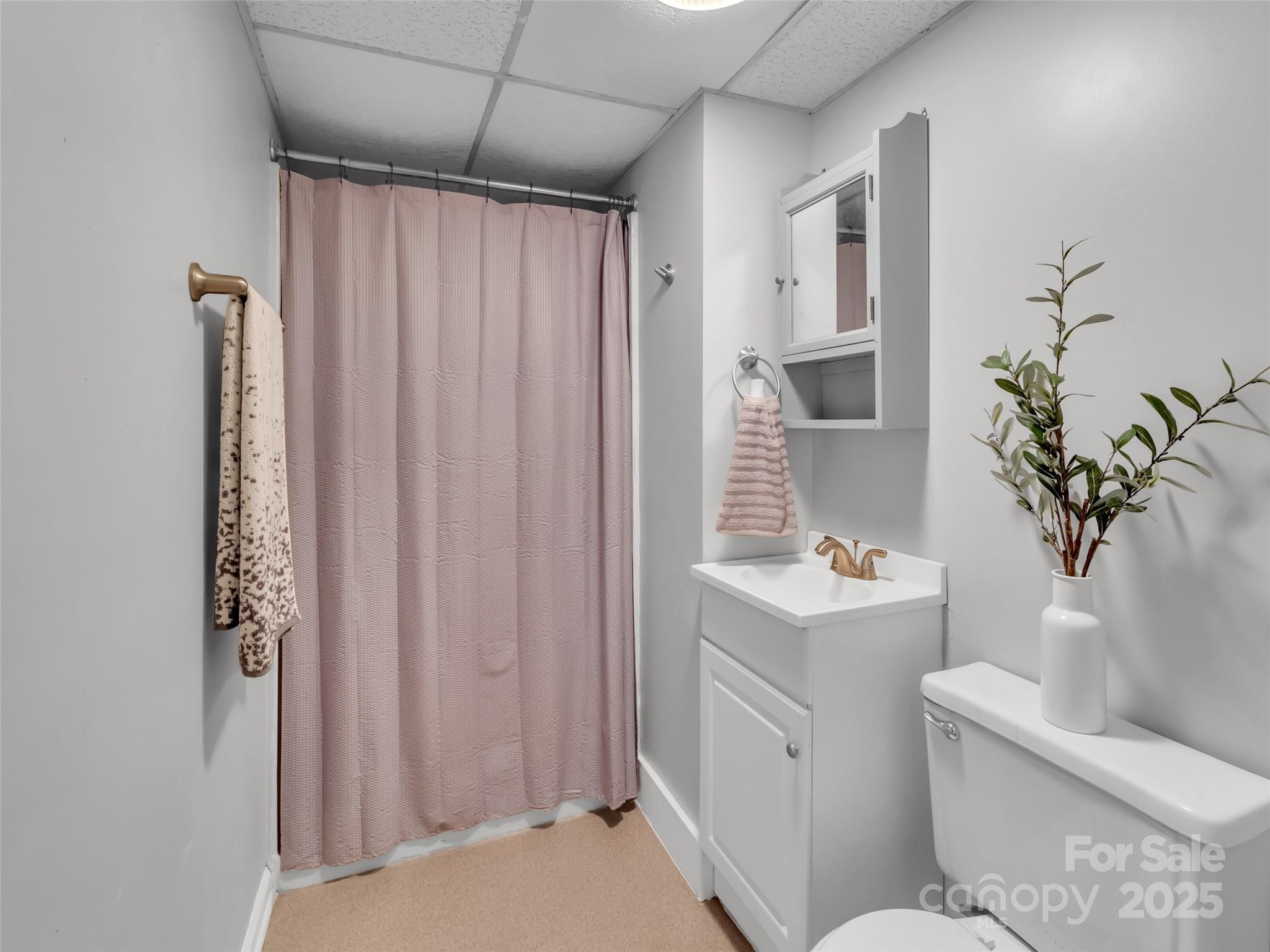 250 Reeves Cove Road Candler, NC 28715 - Photo 28 of 47 a bathroom with a sink toilet and shower