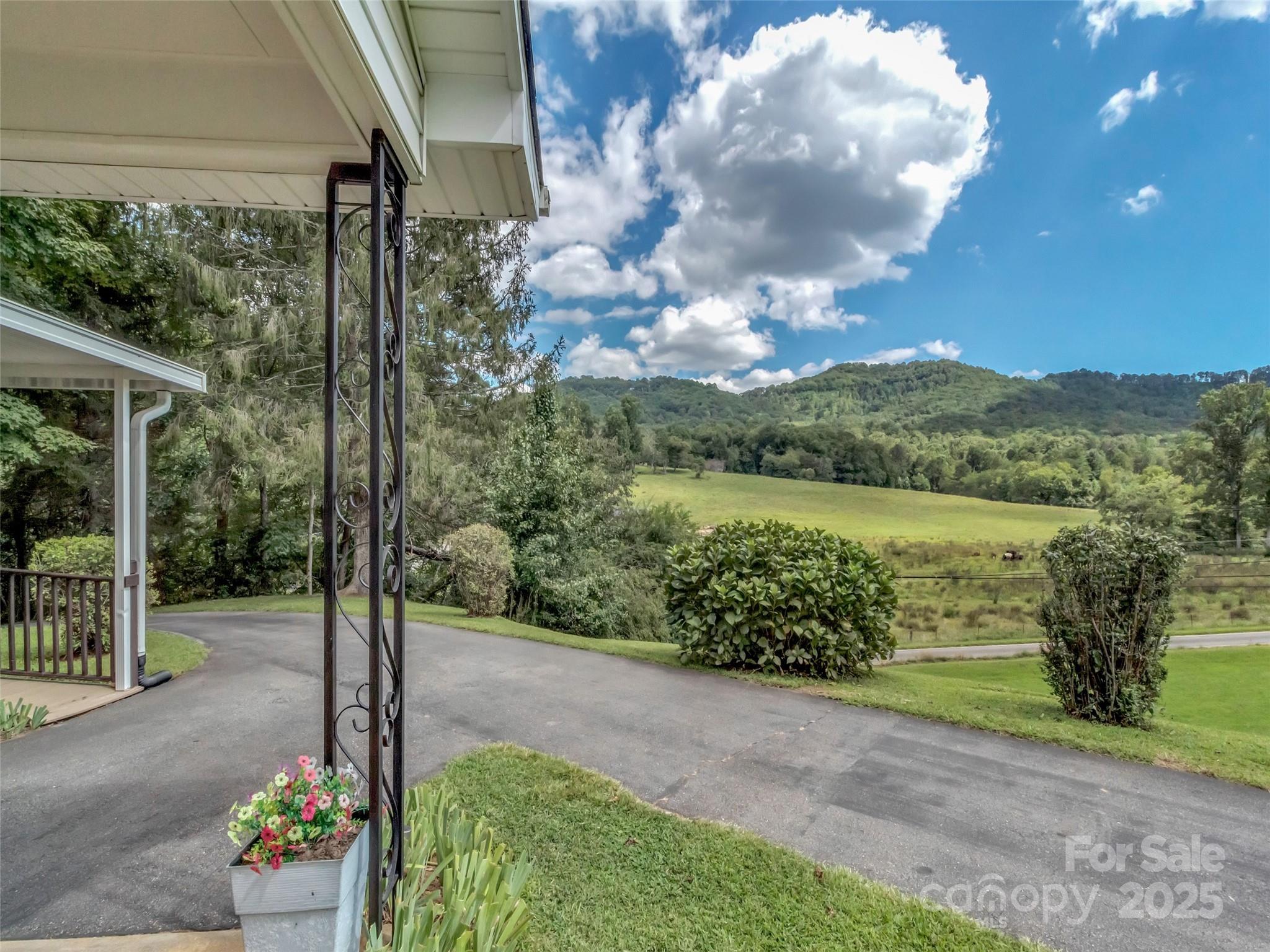 250 Reeves Cove Road Candler, NC 28715 - Photo 30 of 47 a view of a garden with a lake view