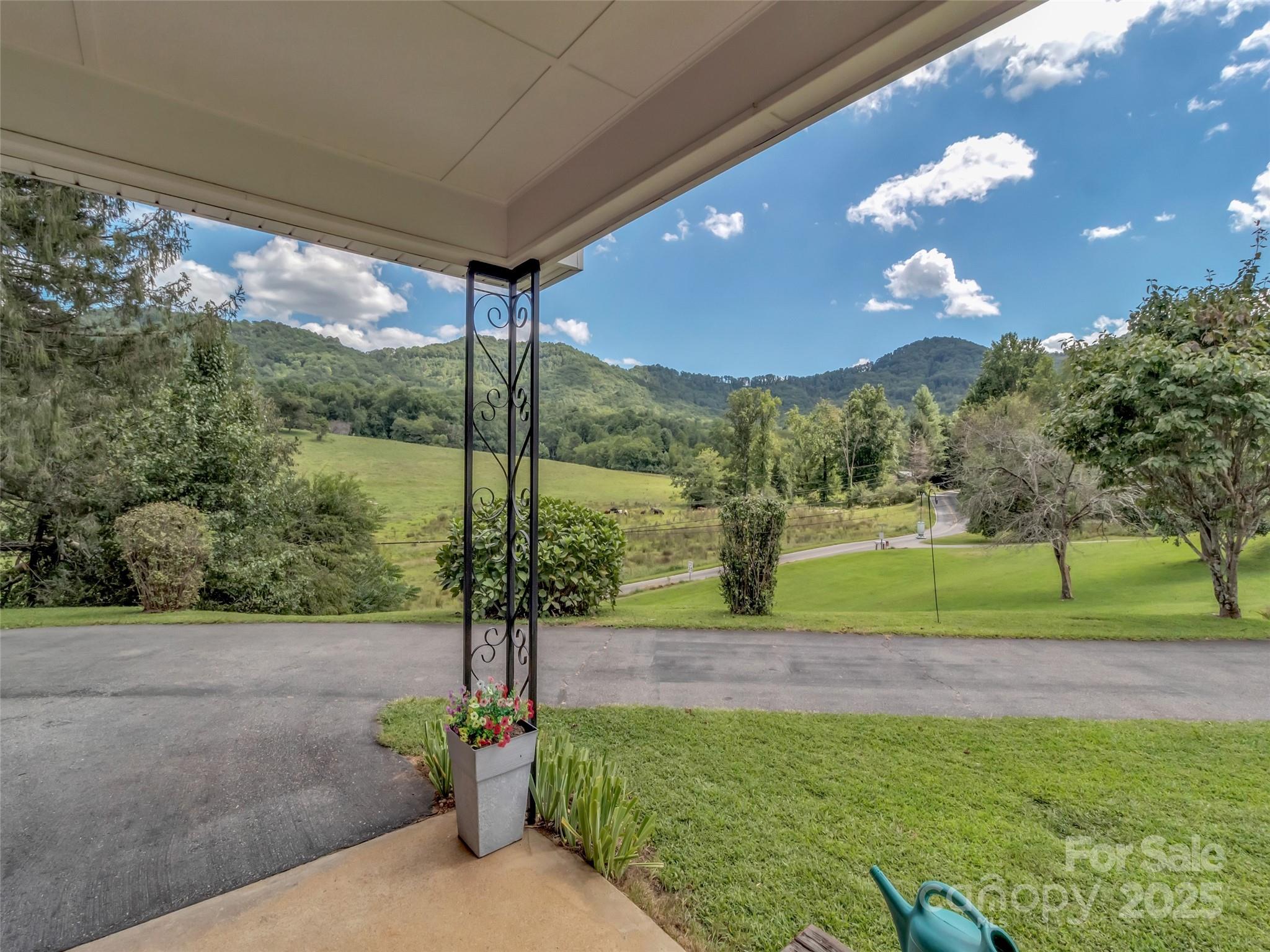 250 Reeves Cove Road Candler, NC 28715 - Photo 31 of 47