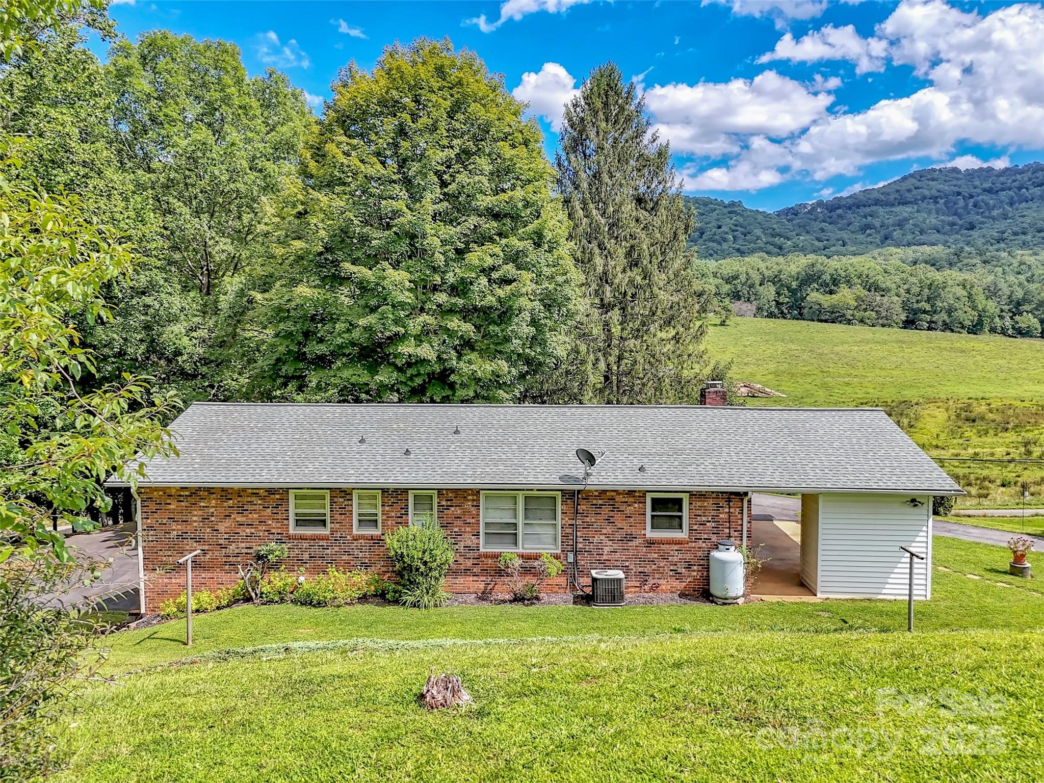250 Reeves Cove Road Candler, NC 28715 - Photo 39 of 47 a view of a house with a big yard potted plants and large tree