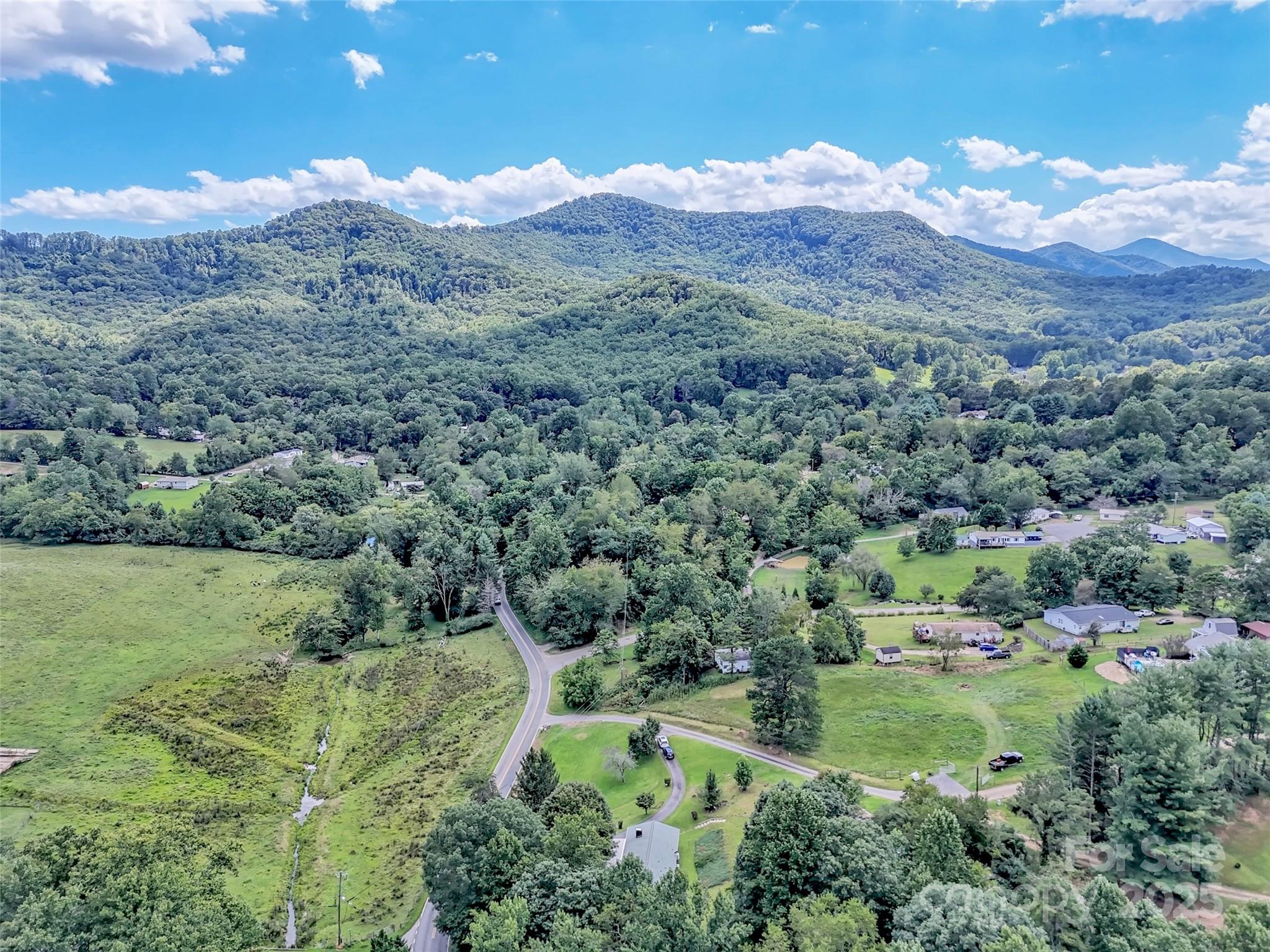 250 Reeves Cove Road Candler, NC 28715 - Photo 42 of 47 a view of a lush green hillside and houses