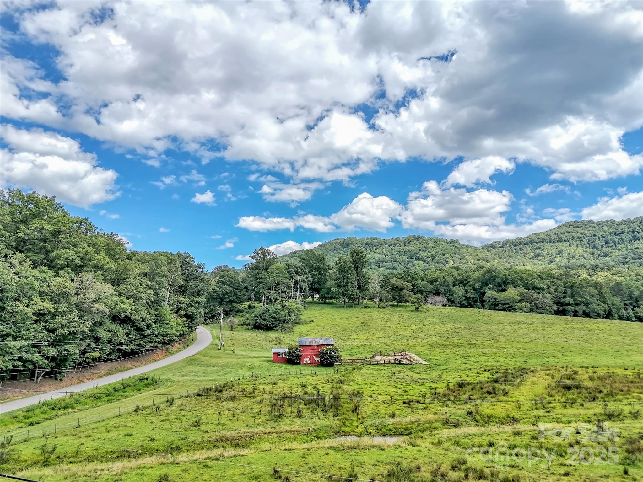 250 Reeves Cove Road Candler, NC 28715 - Photo 43 of 47 a view of a garden with a bench in the background