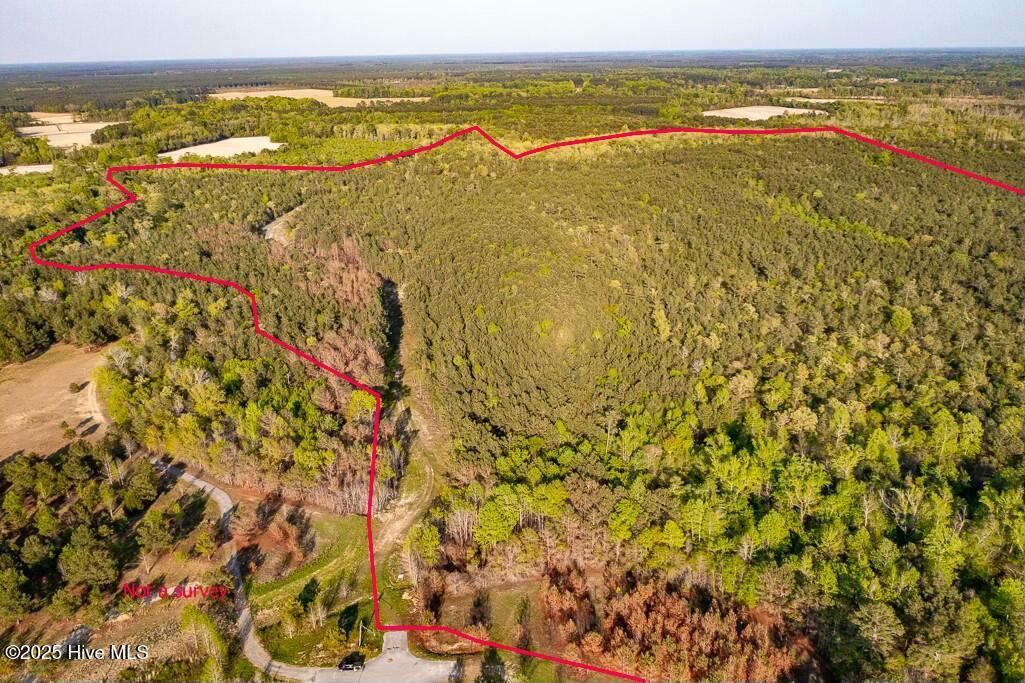 0 Streets Ferry Road Vanceboro, NC 28586 - Photo 4 of 8 tempImagekpz1jV
