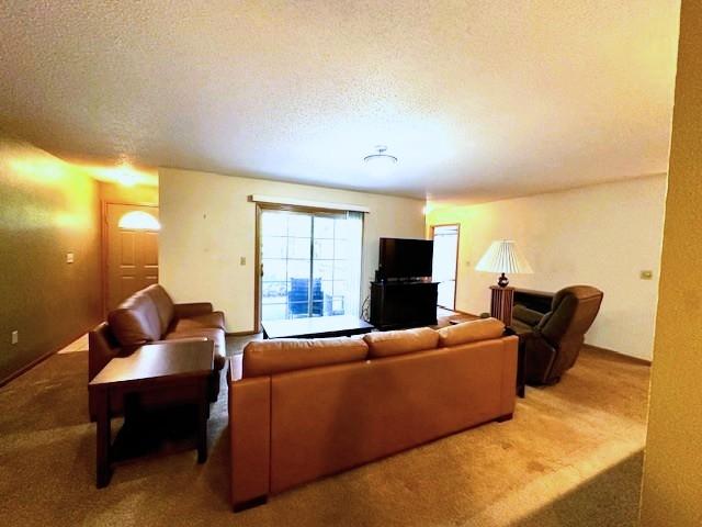 8701 Richardson Plat Road, Unit 2D Minocqua, WI 54548 - Photo 6 of 24 Gallery Image 6