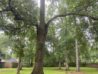 22320034.0 Sawmill Road Moss Point, MS 39563 - Photo 3 of 3 Sawmill