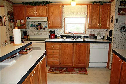 118 Little Timber Ridge Buchanan, VA 24066 - Photo 14 of 48 Kitchen/Lots of Cabinets