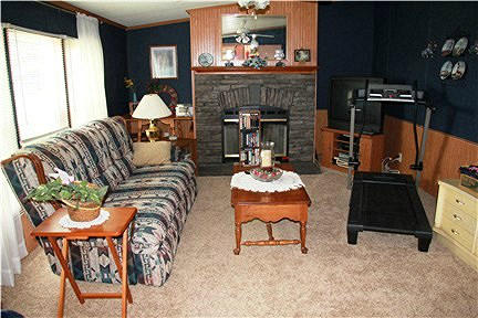 118 Little Timber Ridge Buchanan, VA 24066 - Photo 16 of 48 Family room