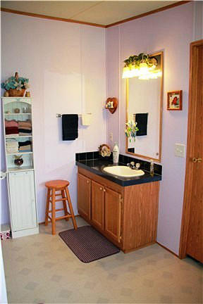 118 Little Timber Ridge Buchanan, VA 24066 - Photo 25 of 48 Vanity Sink #2/Door to Walk-in Closet