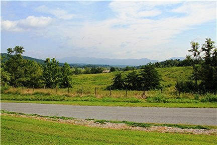 118 Little Timber Ridge Buchanan, VA 24066 - Photo 4 of 48 Views from Front Yard
