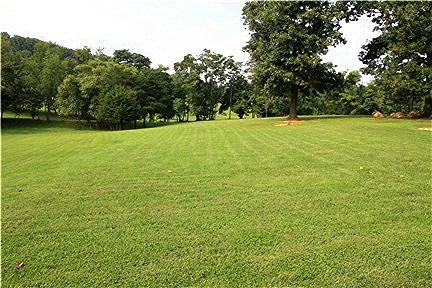 118 Little Timber Ridge Buchanan, VA 24066 - Photo 43 of 48 Back Yard View