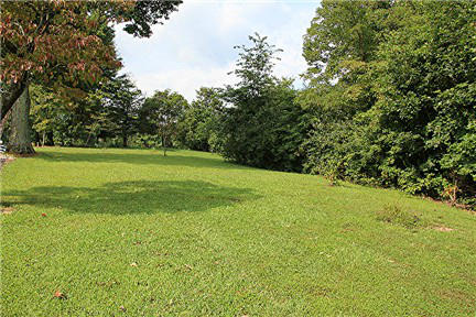 118 Little Timber Ridge Buchanan, VA 24066 - Photo 7 of 48 Right Side Yard