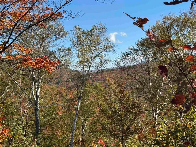 $399,900 | 915 Wheeler Mountain Road, Barton, VT 05822