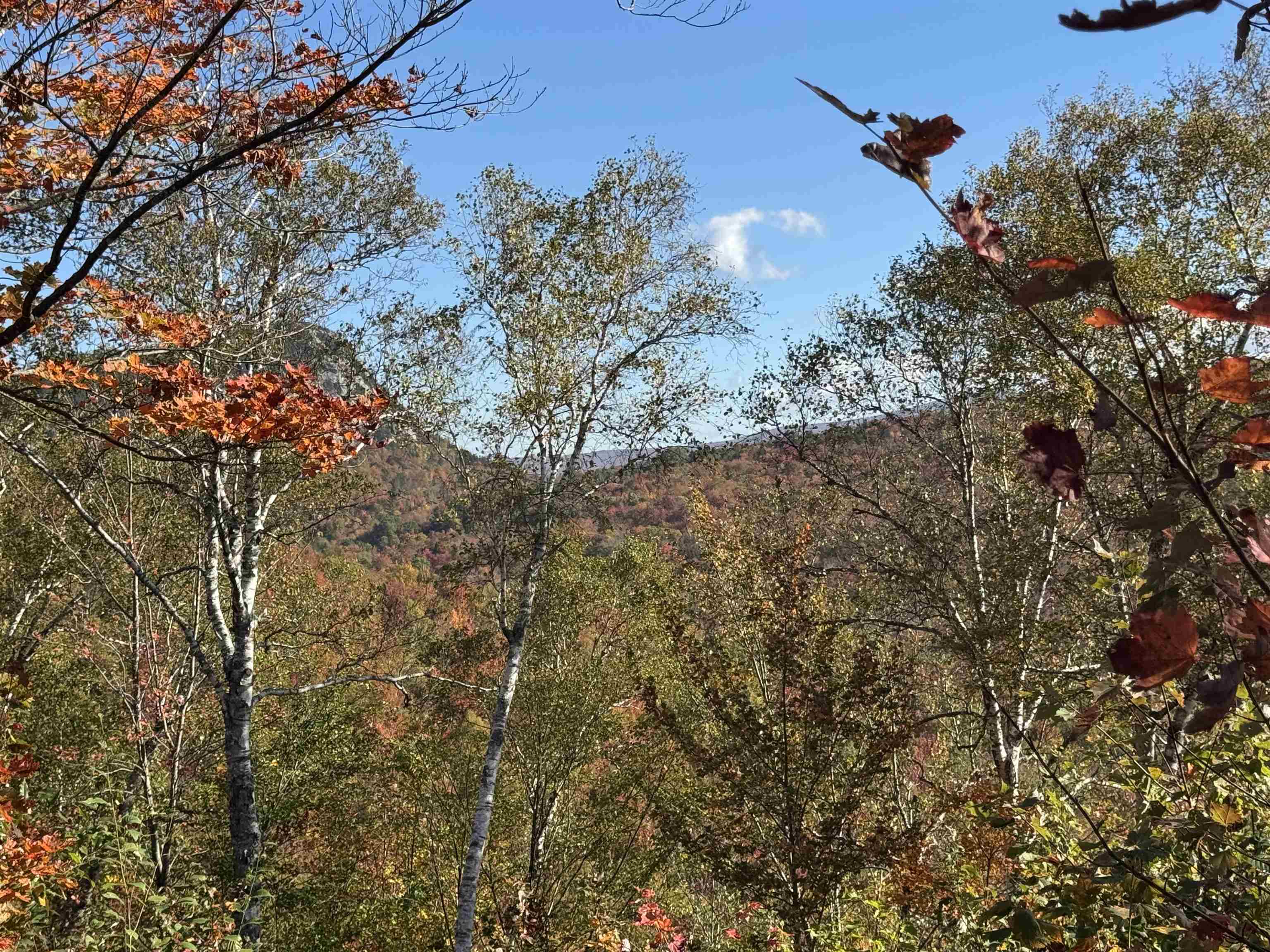 915 Wheeler Mountain Road Barton, VT 05822 - Photo 22 of 46