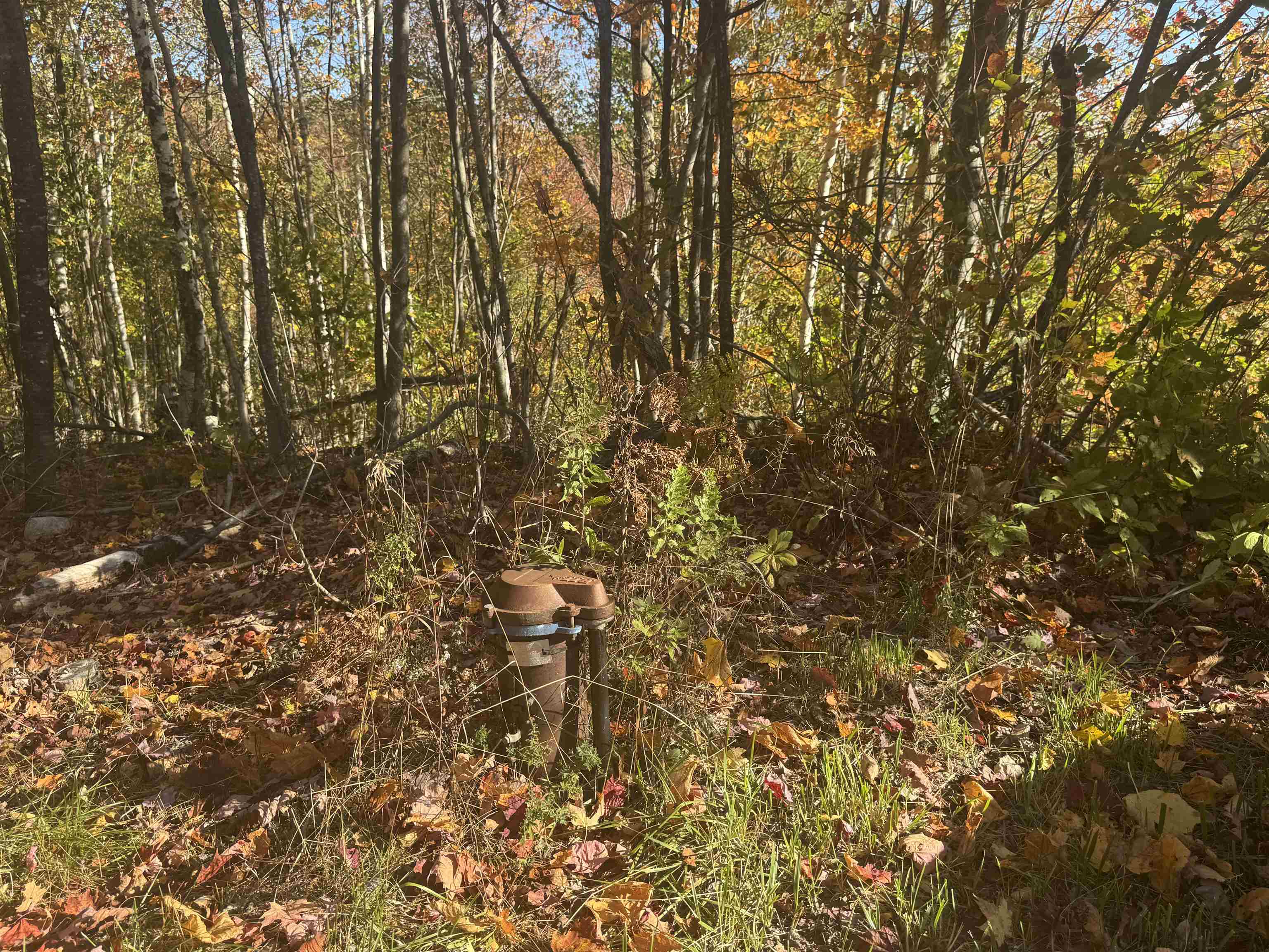 915 Wheeler Mountain Road Barton, VT 05822 - Photo 28 of 46