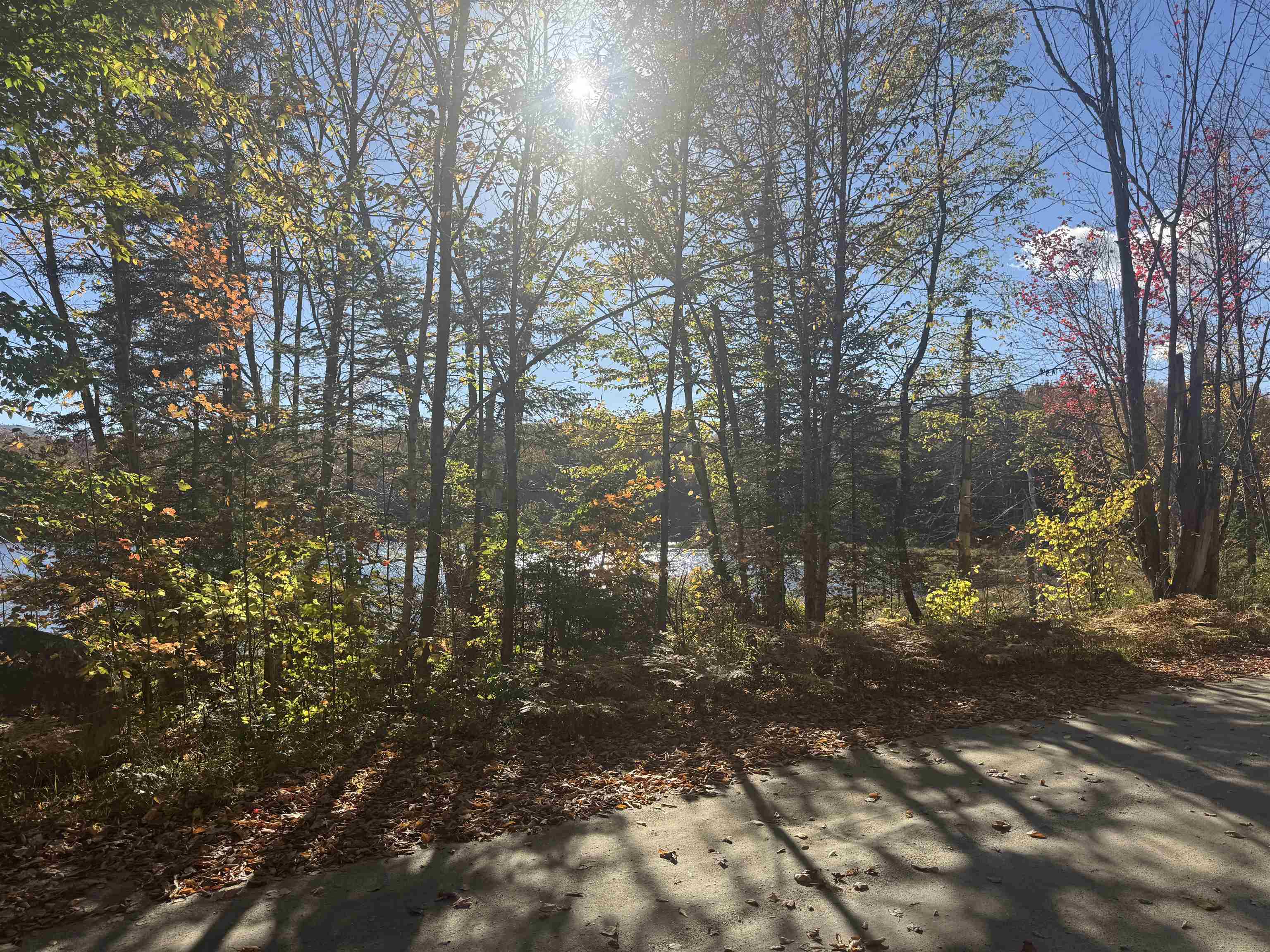 915 Wheeler Mountain Road Barton, VT 05822 - Photo 33 of 46