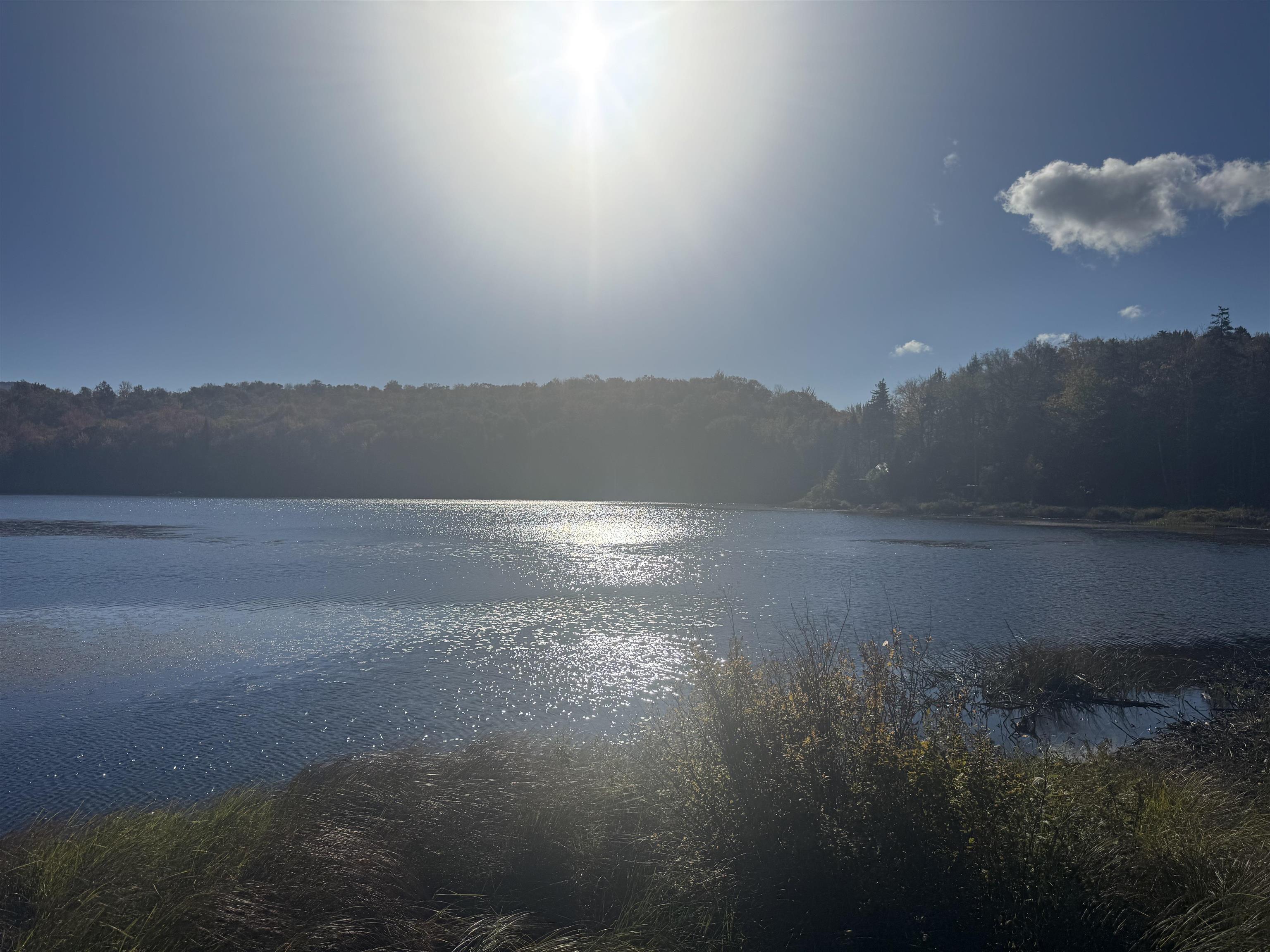 915 Wheeler Mountain Road Barton, VT 05822 - Photo 36 of 46