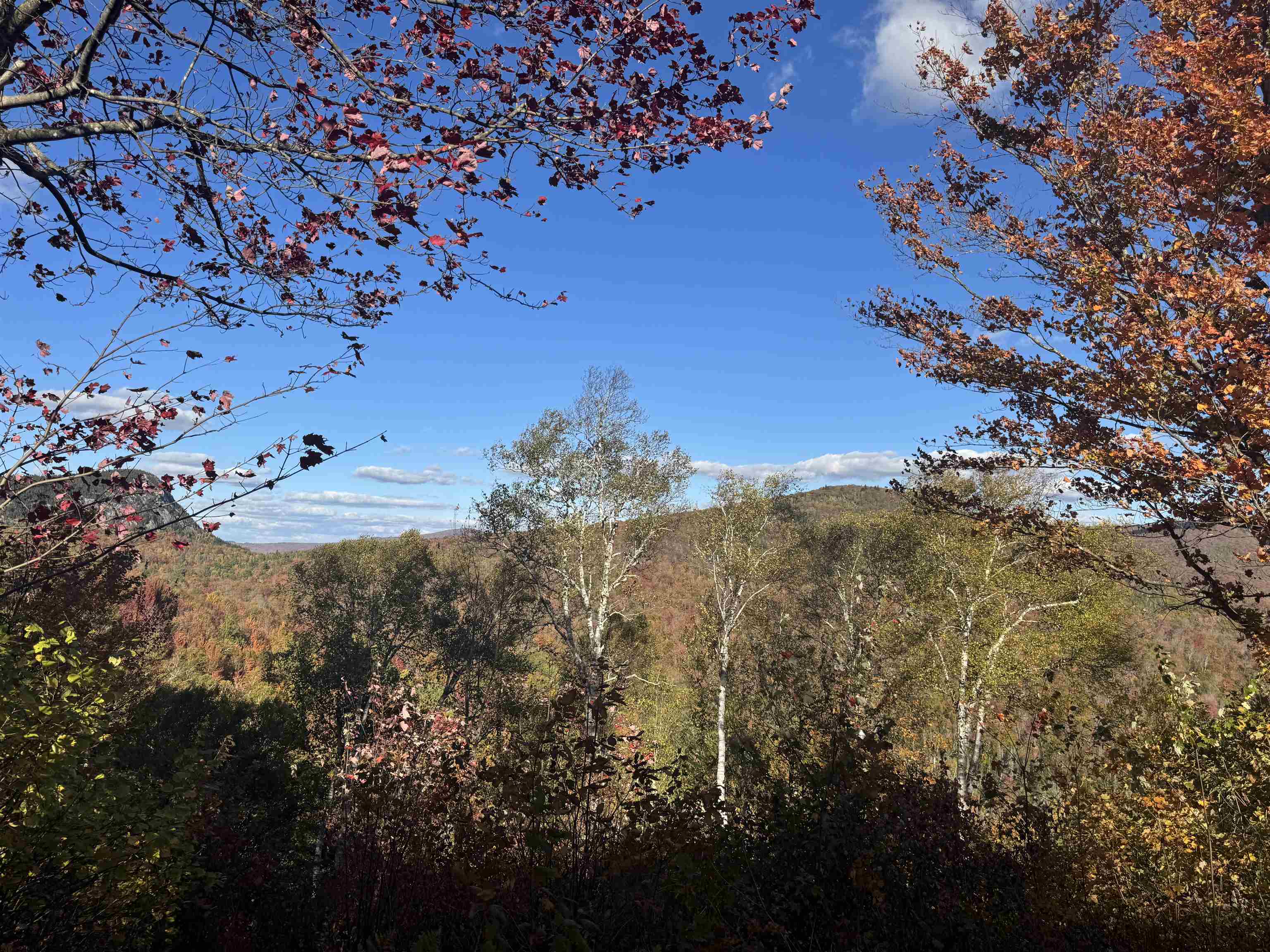 915 Wheeler Mountain Road Barton, VT 05822 - Photo 39 of 46