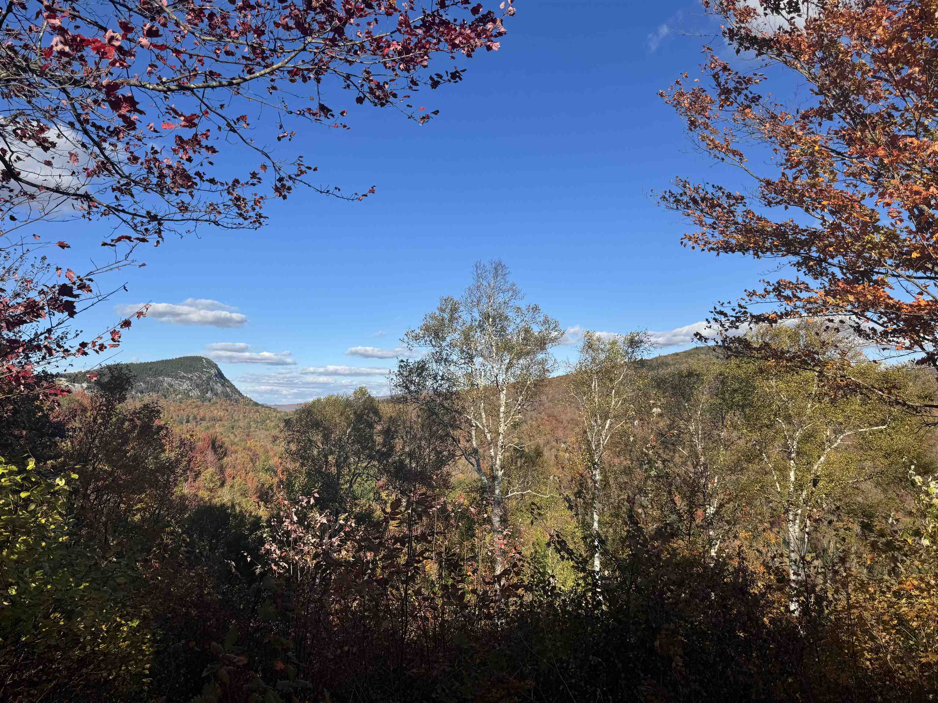 915 Wheeler Mountain Road Barton, VT 05822 - Photo 40 of 46