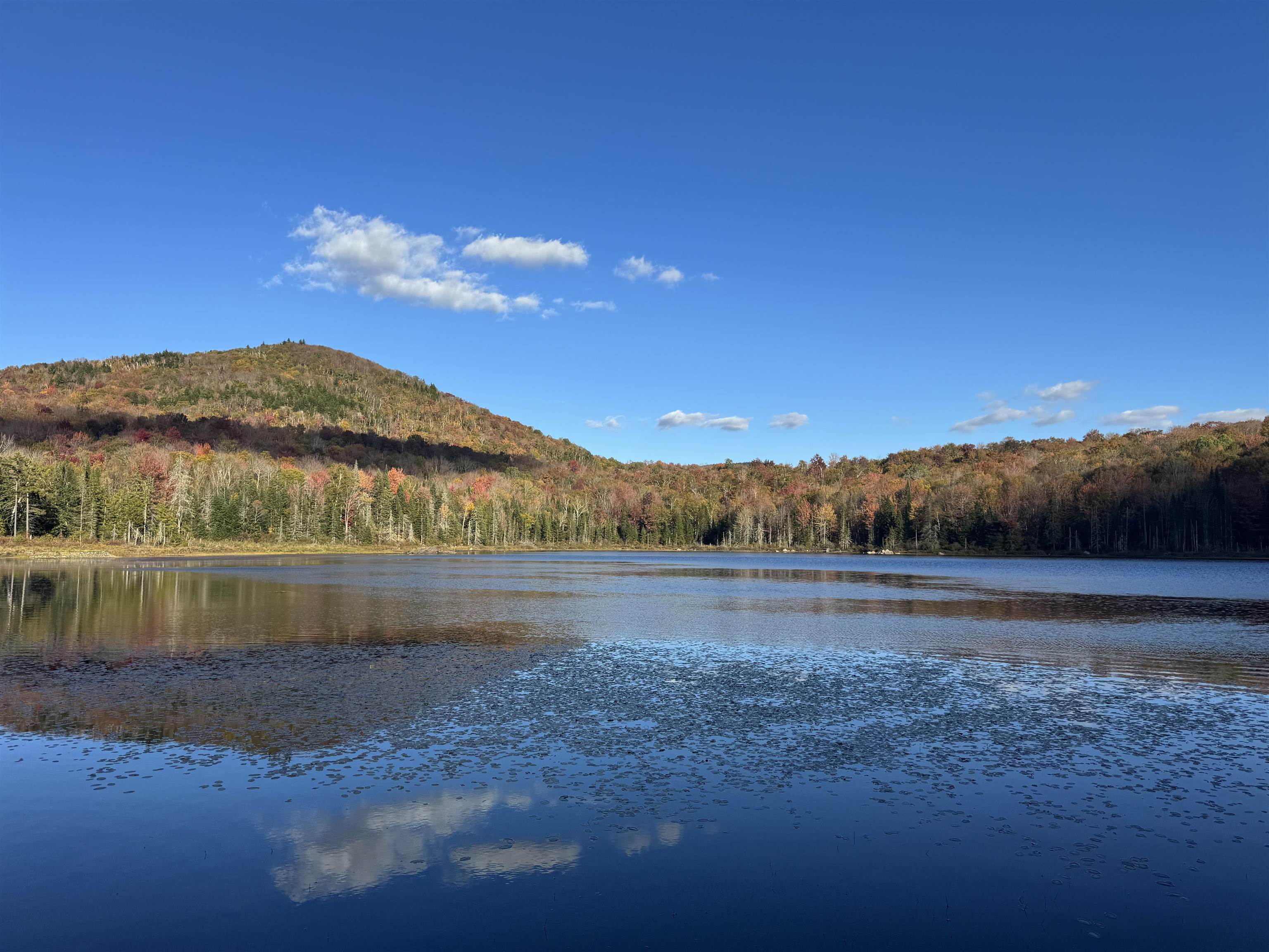 915 Wheeler Mountain Road Barton, VT 05822 - Photo 44 of 46