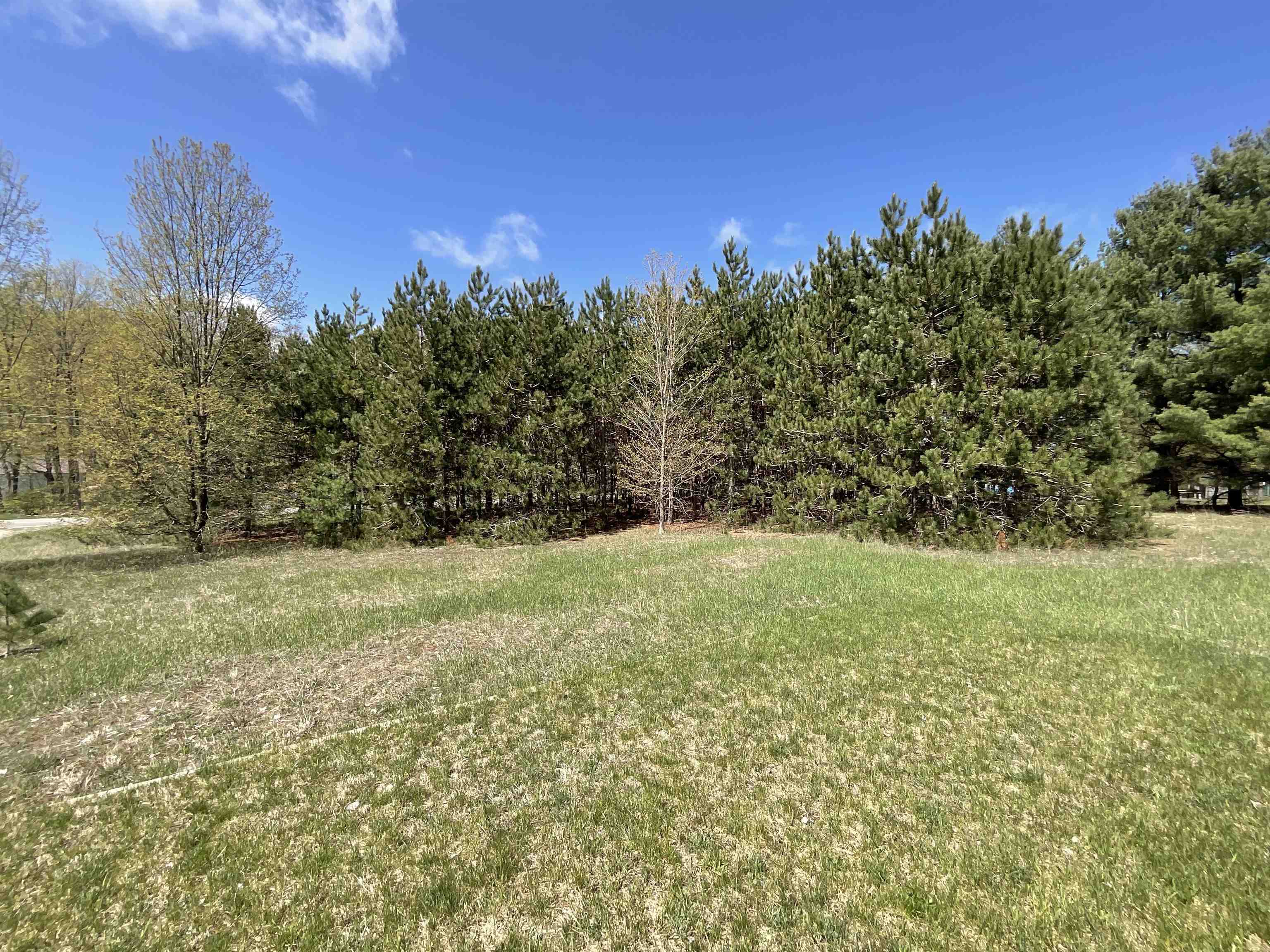 5533 East Lincoln Road Cedar, MI 49621 - Photo 4 of 17