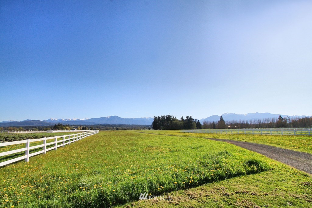 919 Finn Hall Road Port Angeles, WA 98362 - Photo 25 of 25 Gallery Image 25