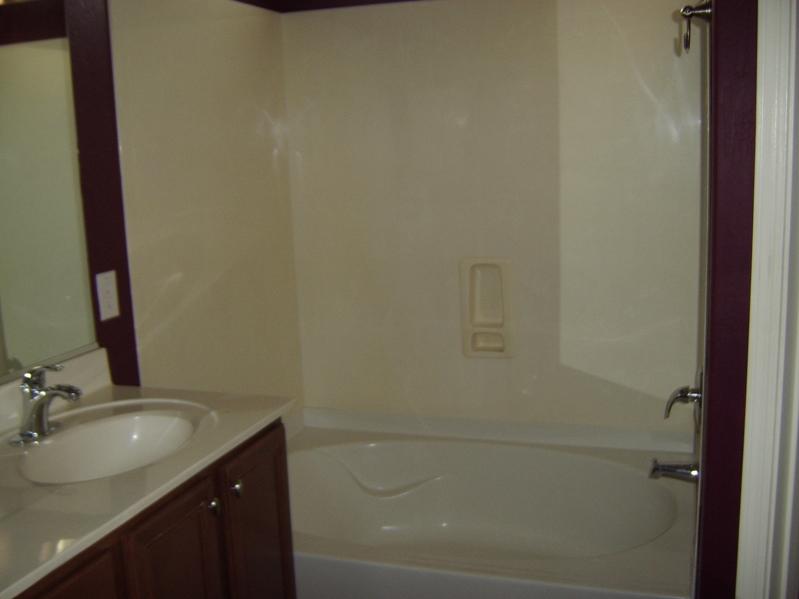 14217 West Calavar Road Surprise, AZ 85379 - Photo 5 of 8 Master Bathroom