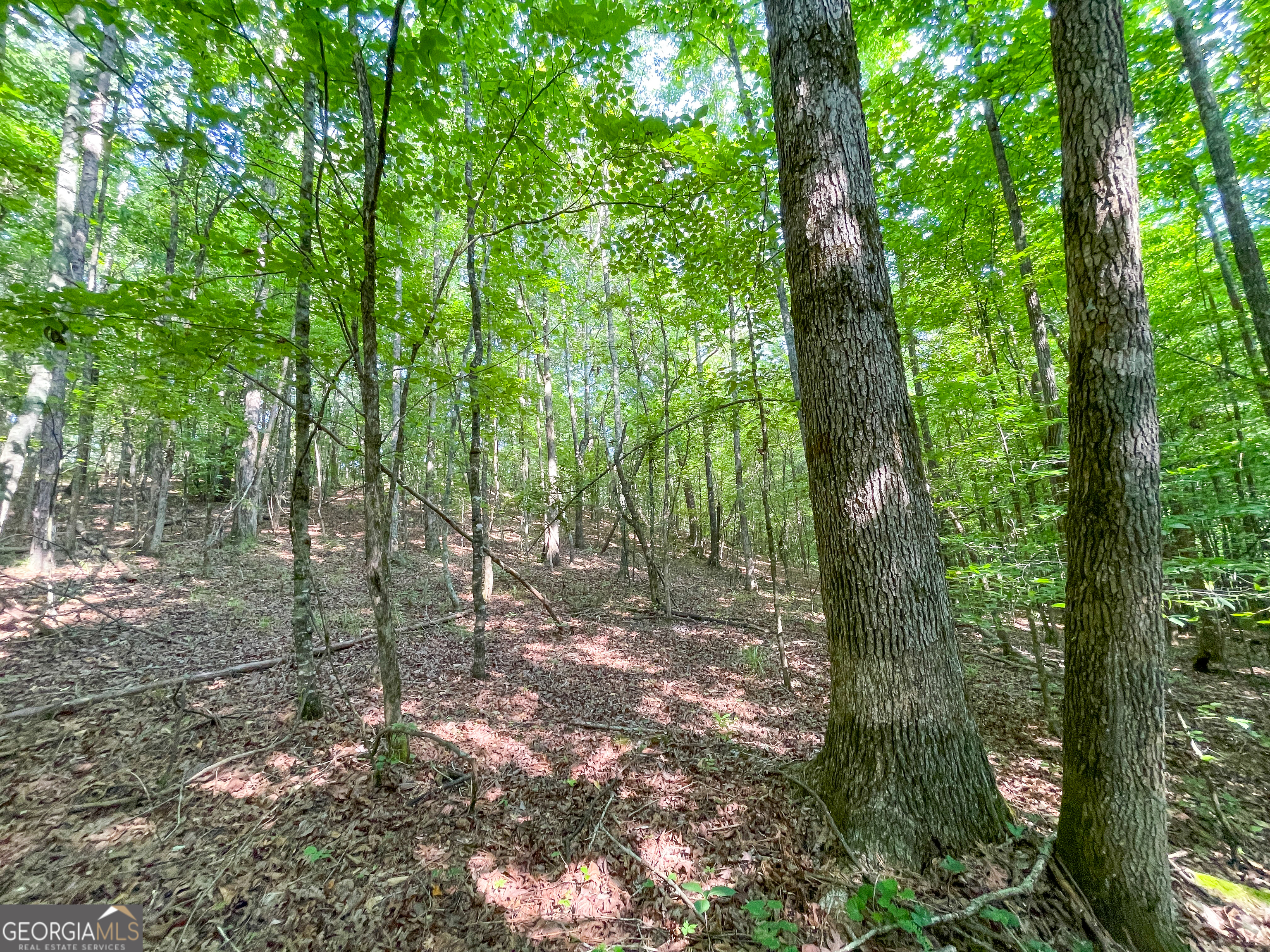1175 Everett Springs Road Armuchee, GA 30105 - Photo 8 of 51
