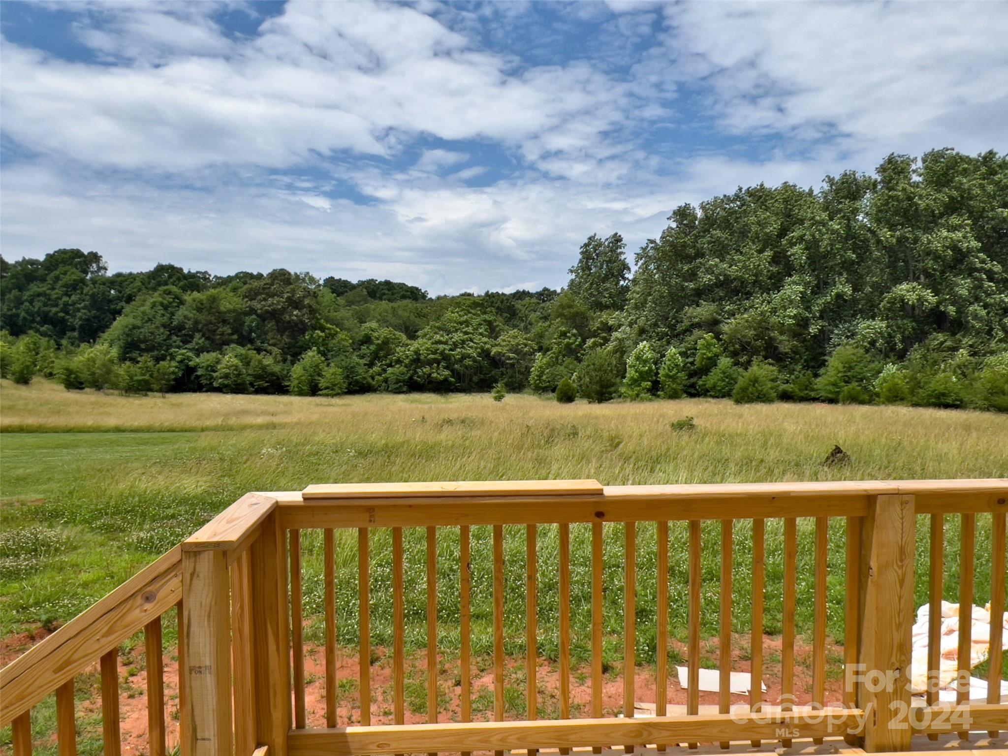 210 Spring Street Ellenboro, NC 28040 - Photo 6 of 28 Gallery Image 6