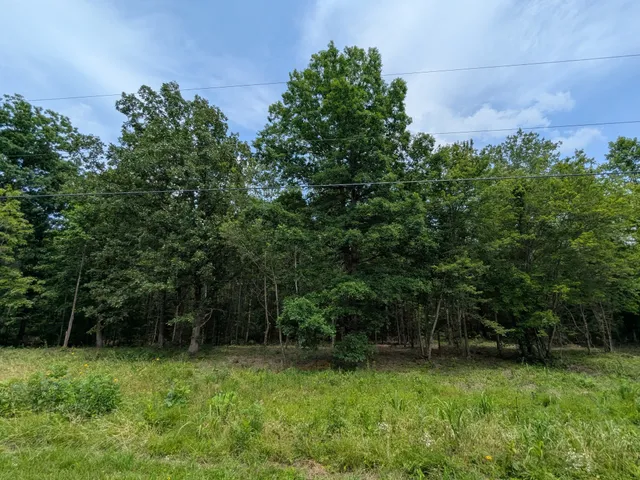 a view of outdoor space with a garden