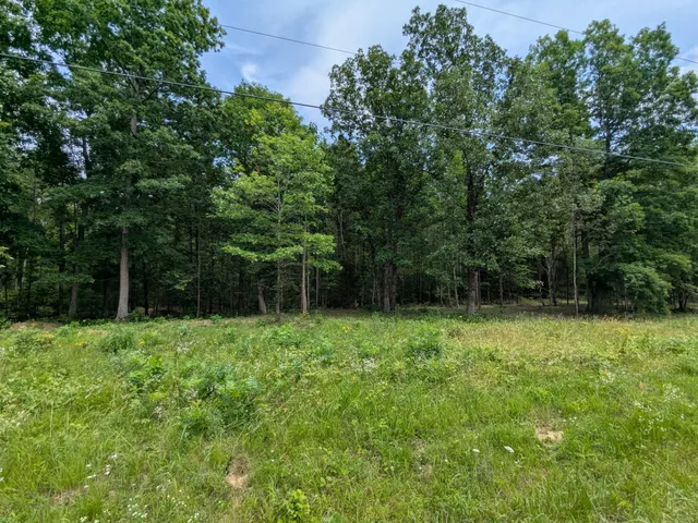 a view of a field of grass and trees