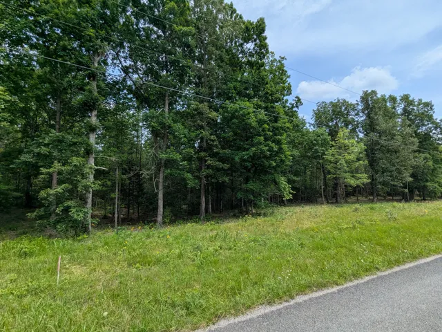 a view of green field with trees in the background