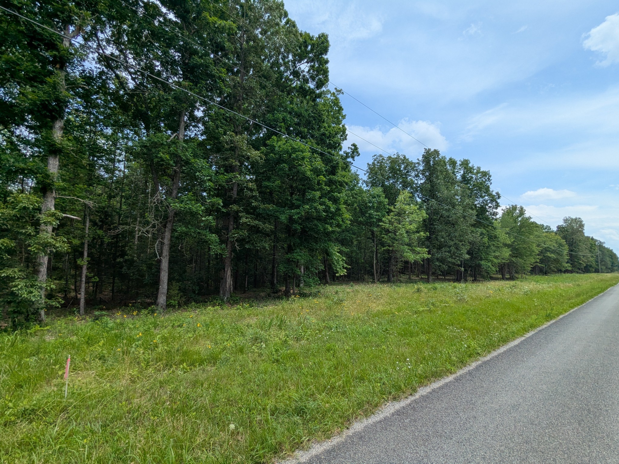 1 Brush Creek Road Lawrenceburg, TN 38464 - Photo 8 of 21 a view of green field with trees in the background
