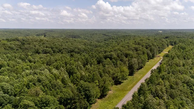 a view of a large yard with a large tree