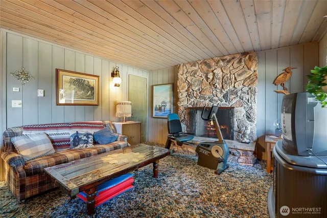 a living room with furniture a rug and a fireplace