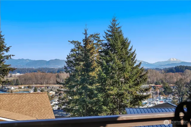 a view of city and mountain