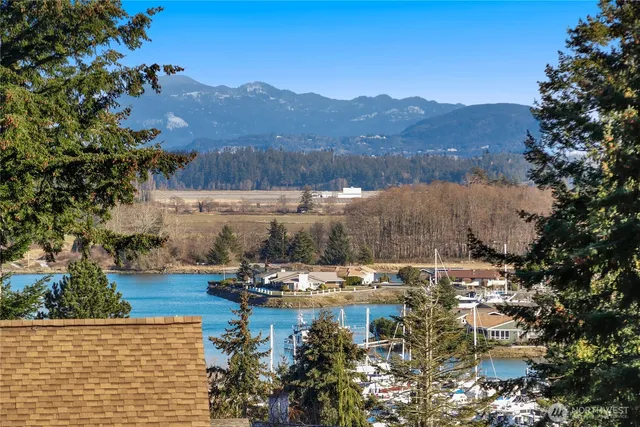 a view of a lake with mountains in the background