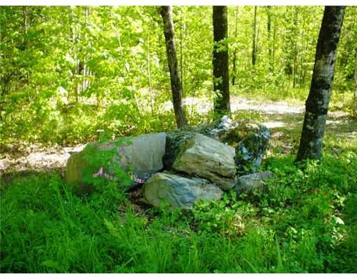 28 Carrabassett Road North Anson, ME 04958 - Photo 5 of 9 Other. Rock with spring flowers