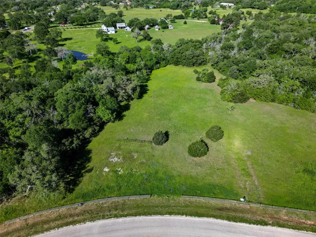 a view of a bunch of trees in a yard