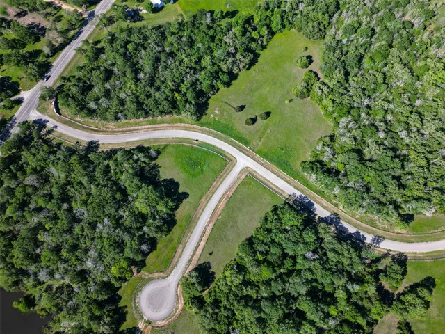 a close up of a plant in a garden