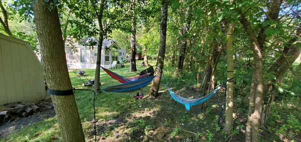 a garden view with a garden